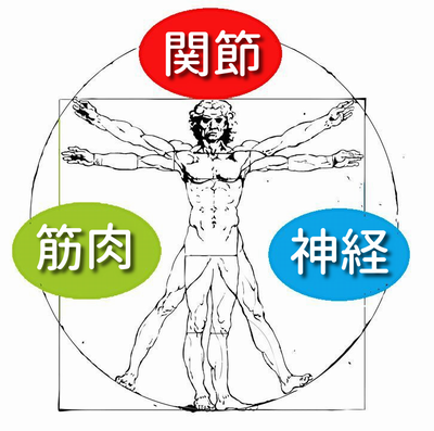 AKS療法における関節・筋肉・神経３つのプロセス