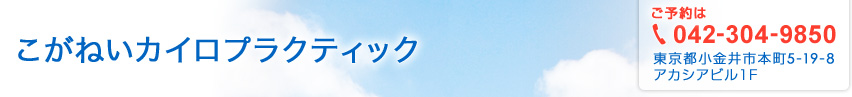 こがねいカイロプラクティック