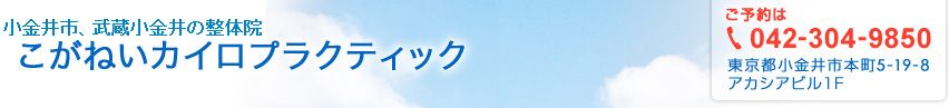 こがねいカイロプラクティック
