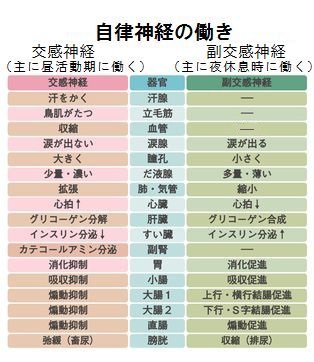 神経 高める 副交感