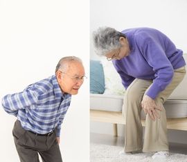 高齢者　腰痛　膝の痛み