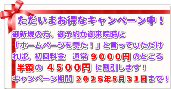 こがねいカイロ「風薫る好季節の腰痛・肩こりキャンペーン」　ただいま初回施術料９０００円→４５００円にて施術！
