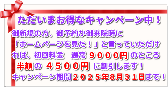 こがねいカイロ「残暑の候　腰痛・肩こりキャンペーン」　ただいま初回施術料９０００円→４５００円にて施術！