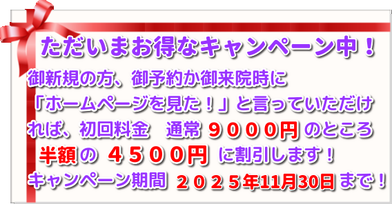 こがねいカイロ「晩秋の腰痛・肩こりキャンペーン」　ただいま初回施術料９０００円→４５００円にて施術！