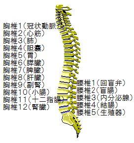 メリックシステム