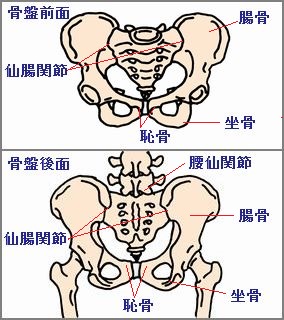 骨盤のゆがみと体への影響